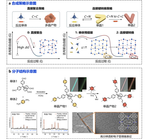 W020250107542617736419_副本.jpg